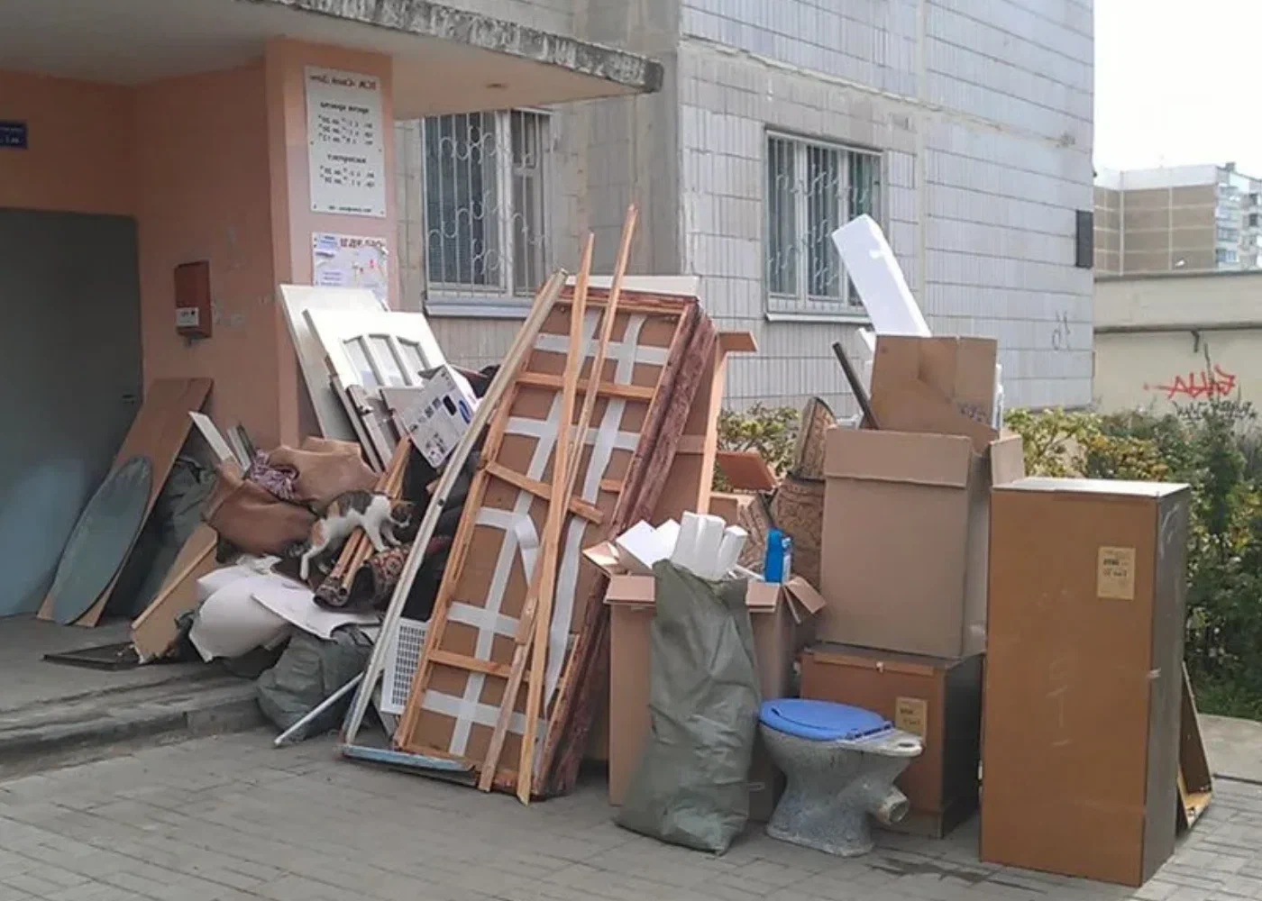 Профессиональный вывоз мусора из квартиры в Троицке в октябре