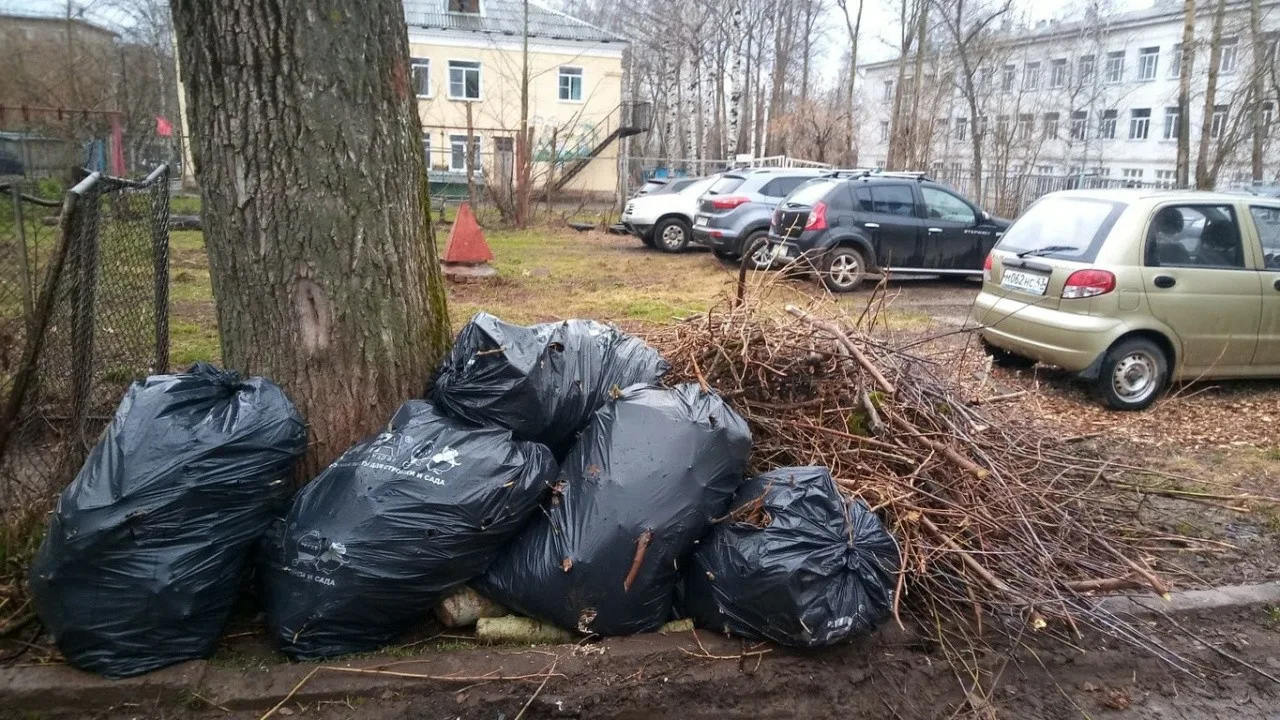 Вывоз мусора после субботника в Троицке от ПроМусор – уборка и утилизация отходов от 2423 руб