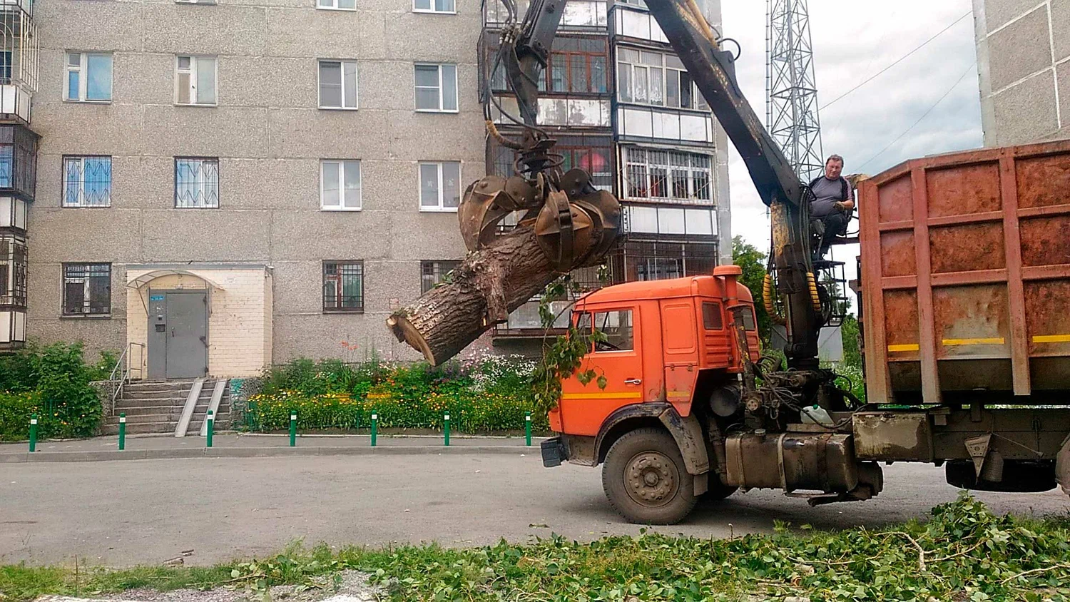 Вывоз спиленных веток и деревьев в Троицке от ПроМусор: порубочные остатки, утилизация, цена от 2990 руб