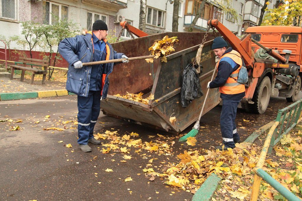 Вывоз опавшей листвы и растительного мусора в Троицке от ПроМусор – цена от 4640 руб., быстрая уборка и утилизация